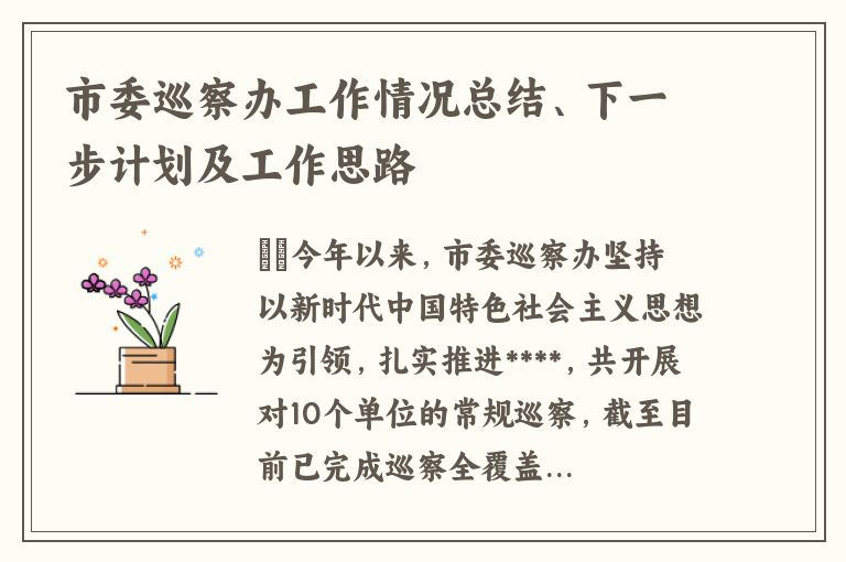 市委巡察办工作情况总结、下一步计划及工作思路