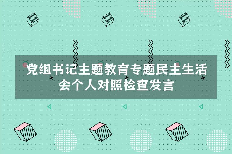 党组书记主题教育专题民主生活会个人对照检查发言