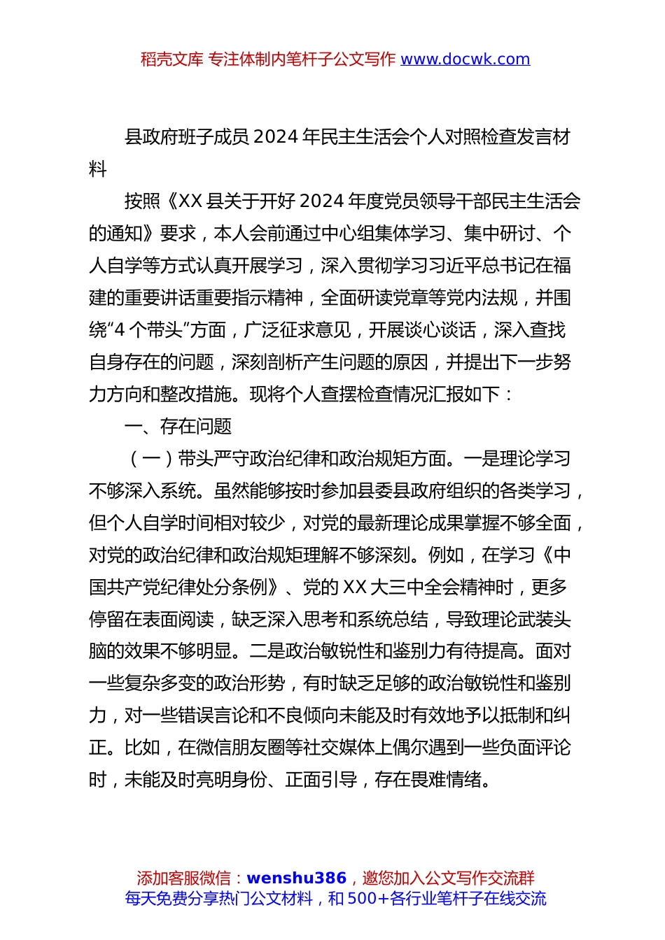 县政府班子成员2024年民主生活会个人对照检查发言材料.docx