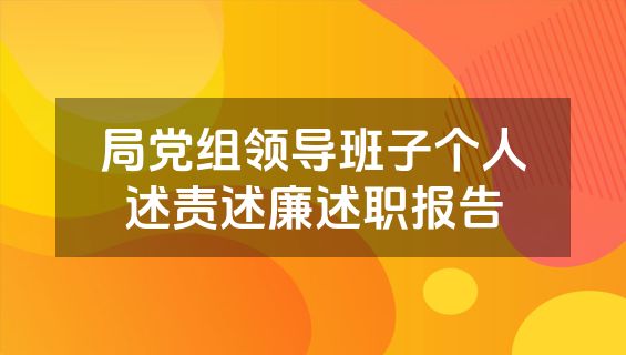 局党组领导班子个人述责述廉述职报告