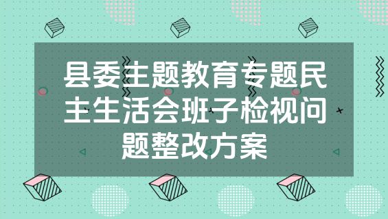 县委主题教育专题民主生活会班子检视问题整改方案