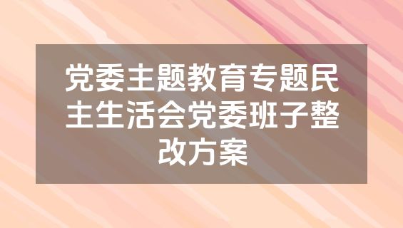 党委主题教育专题民主生活会党委班子整改方案