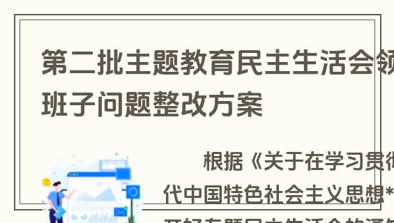 第二批主题教育民主生活会领导班子问题整改方案