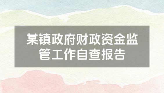 某镇政府财政资金监管工作自查报告