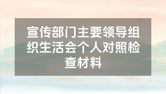 宣传部门主要领导组织生活会个人对照检查材料