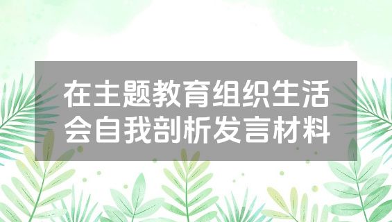 在主题教育组织生活会自我剖析发言材料
