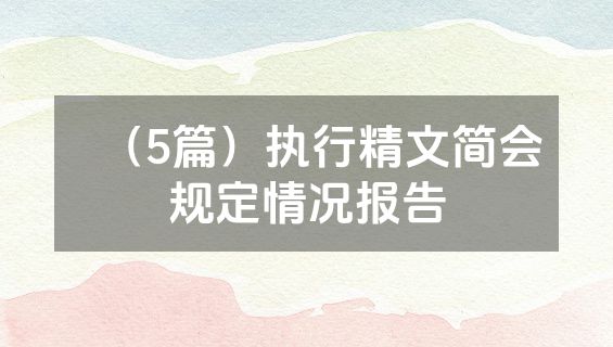 （5篇）执行精文简会规定情况报告