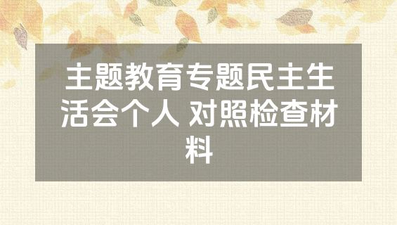 主题教育专题民主生活会个人 对照检查材料
