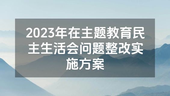 2023年在主题教育民主生活会问题整改实施方案