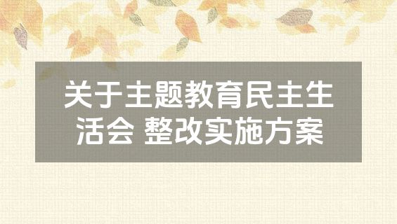 关于主题教育民主生活会 整改实施方案