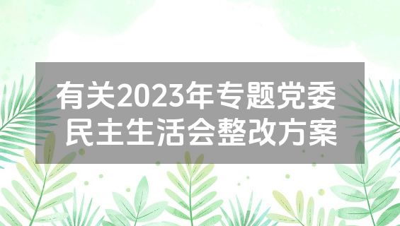 有关2023年专题党委 民主生活会整改方案