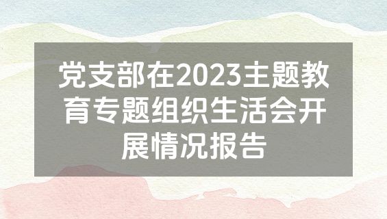 党支部在2023主题教育专题组织生活会开展情况报告