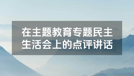 在主题教育专题民主生活会上的点评讲话