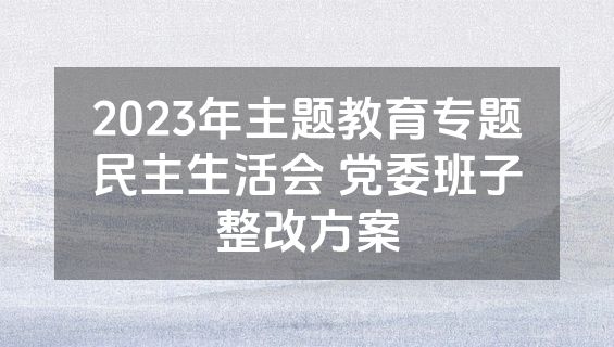 2023年主题教育专题民主生活会 党委班子整改方案