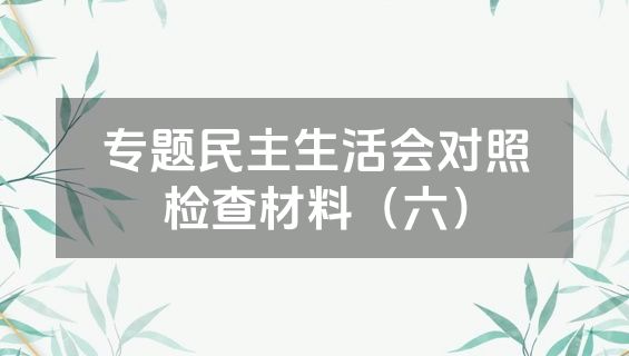 专题民主生活会对照检查材料（六）