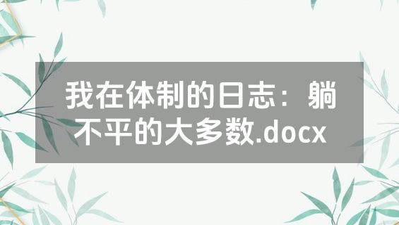 我在体制的日志：躺不平的大多数.docx