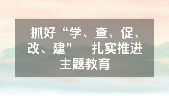 抓好“学、查、促、改、建”　扎实推进主题教育