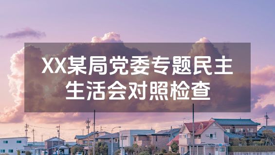 XX某局党委专题民主生活会对照检查