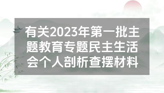 有关2023年第一批主题教育专题民主生活会个人剖析查摆材料
