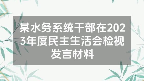 某水务系统干部在2023年度民主生活会检视发言材料