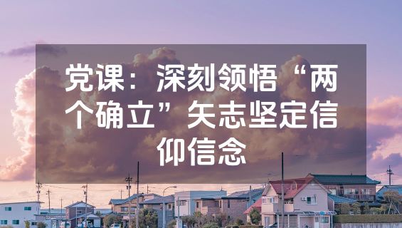 党课：深刻领悟“两个确立”矢志坚定信仰信念