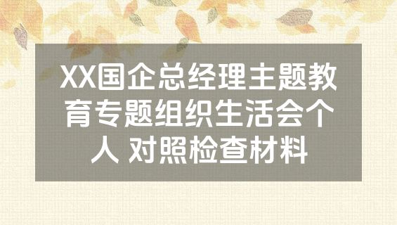 XX国企总经理主题教育专题组织生活会个人 对照检查材料