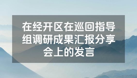 在经开区在巡回指导组调研成果汇报分享会上的发言