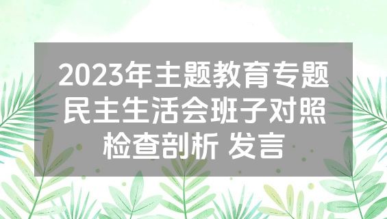 2023年主题教育专题民主生活会班子对照检查剖析 发言