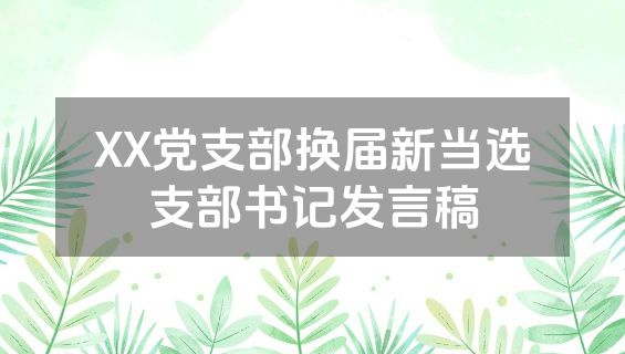 XX党支部换届新当选支部书记发言稿