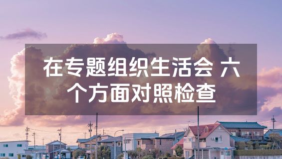 在专题组织生活会 六个方面对照检查
