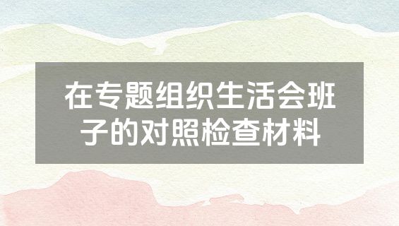 在专题组织生活会班子的对照检查材料