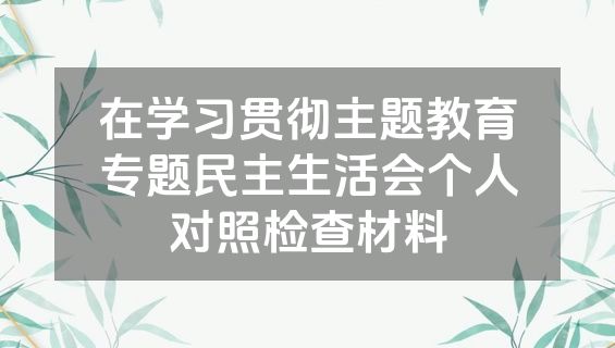 在学习贯彻主题教育专题民主生活会个人对照检查材料