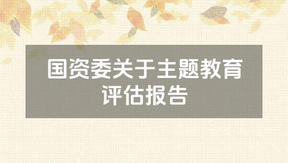 国资委关于主题教育评估报告