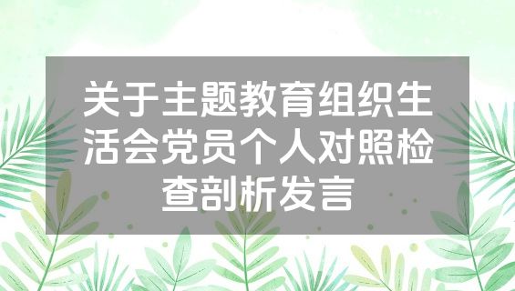 关于主题教育组织生活会党员个人对照检查剖析发言