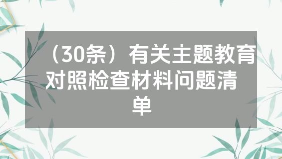 （30条）有关主题教育对照检查材料问题清单