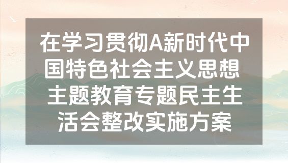在学习贯彻A新时代中国特色社会主义思想 主题教育专题民主生活会整改实施方案