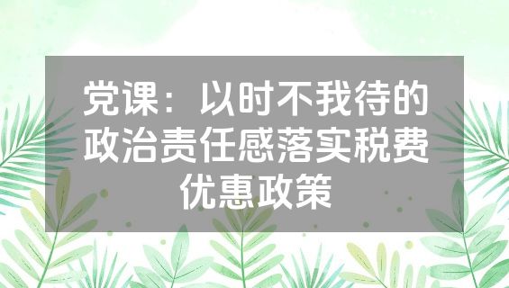 党课：以时不我待的政治责任感落实税费优惠政策