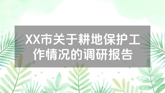 XX市关于耕地保护工作情况的调研报告
