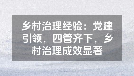 乡村治理经验：党建引领，四管齐下，乡村治理成效显著