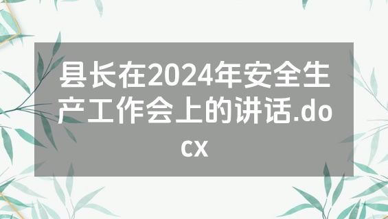 县长在2024年安全生产工作会上的讲话.docx