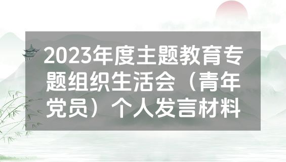 2023年度主题教育专题组织生活会（青年党员）个人发言材料