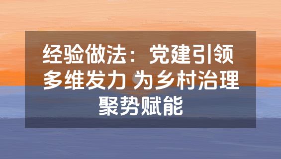 经验做法：党建引领 多维发力 为乡村治理聚势赋能