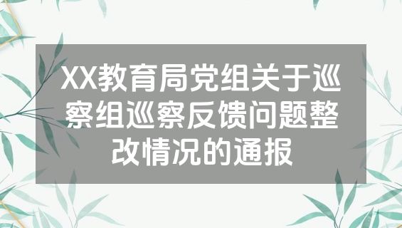 XX教育局党组关于巡察组巡察反馈问题整改情况的通报