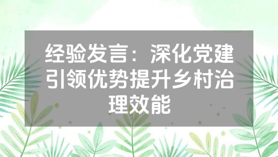 经验发言：深化党建引领优势提升乡村治理效能