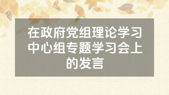 在政府党组理论学习中心组专题学习会上的发言