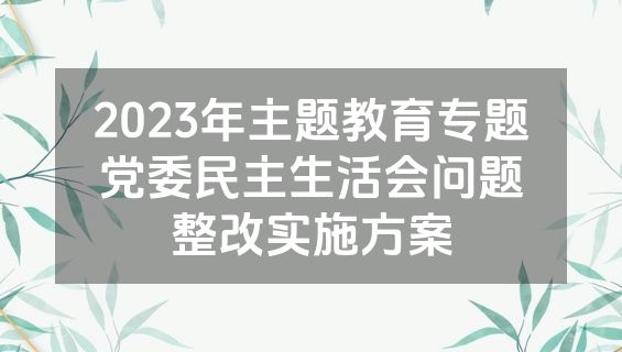 2023年主题教育专题党委民主生活会问题整改实施方案