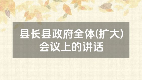 县长县政府全体(扩大)会议上的讲话