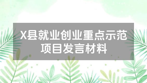 X县就业创业重点示范项目发言材料