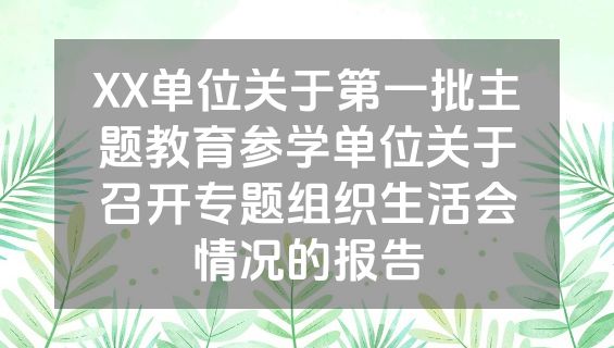 XX单位关于第一批主题教育参学单位关于召开专题组织生活会情况的报告