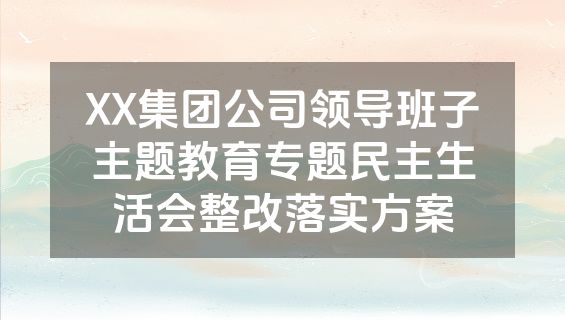 XX集团公司领导班子主题教育专题民主生活会整改落实方案